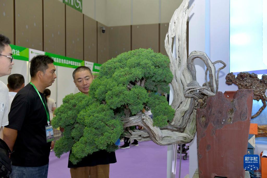 恒丰娱乐首页